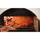 Palazzetti garden maxime-con-forno-cappa-inox detail 2